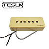 TESLA VR-P90 Cream (Bridge) / ��ǰ ��Ű��