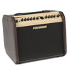 Fishman Loudbox Mini ������ƽ����