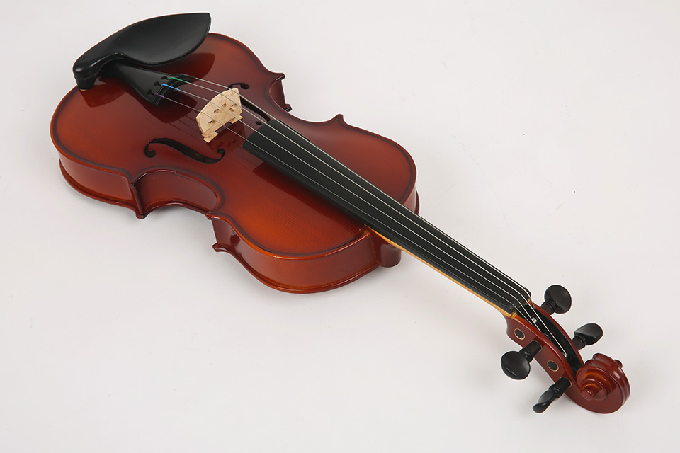 [����] [������Ư��] �ɷ� 1/8 ������ ���̿ø� SN-501 (2873) �� �̹��� 2