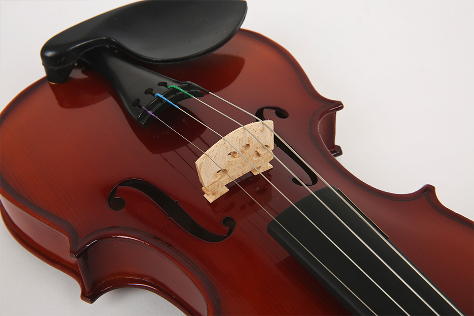 [����] [������Ư��] �ɷ� 1/8 ������ ���̿ø� SN-501 (2873) �� �̹��� 5