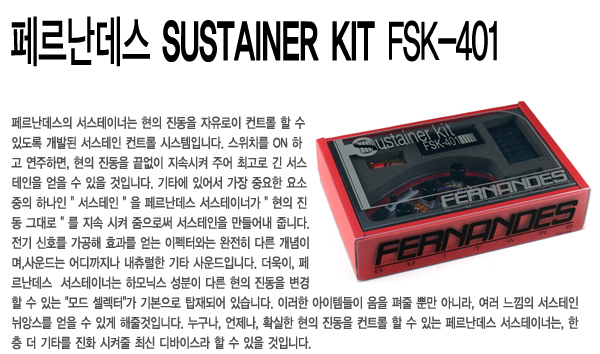 Fernandes 페르난데스 FSK-401