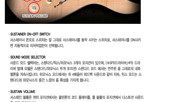 Fernandes 페르난데스 FSK-401