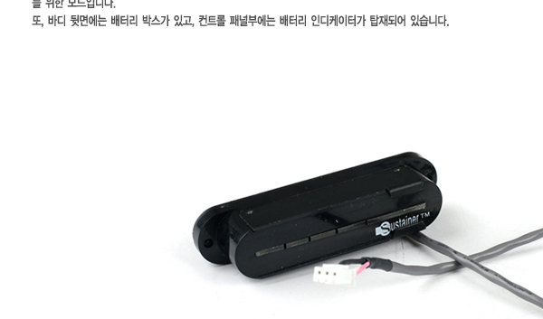 Fernandes 페르난데스 FSK-401