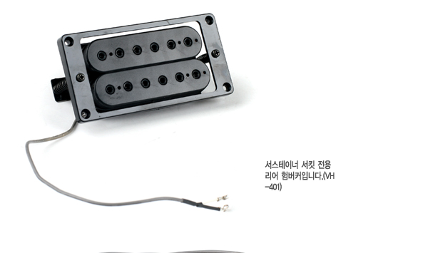Fernandes 페르난데스 FSK-401