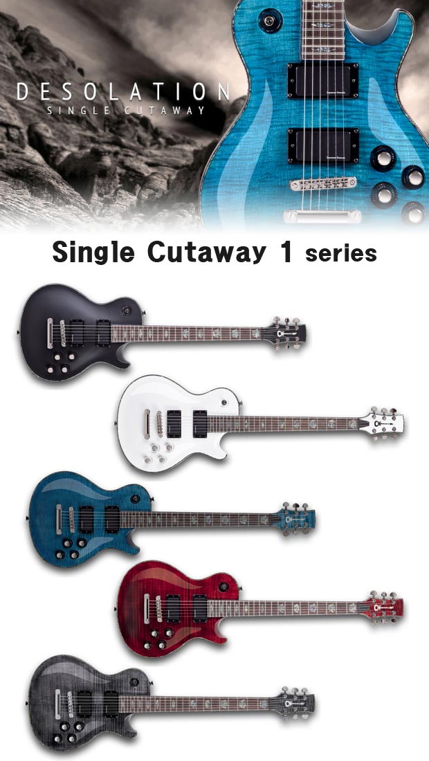 [����] Charvel Desolation DS1 ST �� �̹��� 2