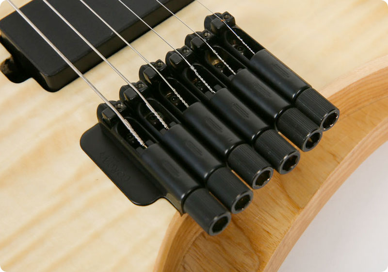 [����] Aphrodite Headless APE-1500 / Natural (EMG) �� �̹��� 13