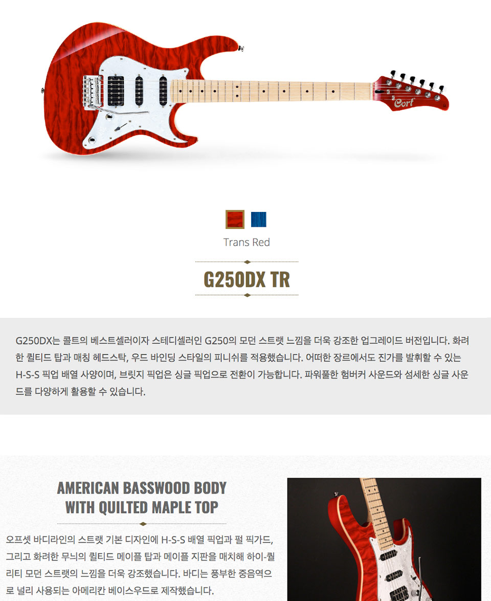 [����] Cort - G250DX / ��Ʈ �Ϸ���Ÿ (TR) �� �̹��� 1