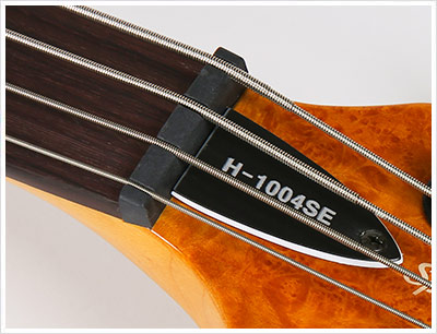 [����] LTD - H-1004SE Burl Maple �� �̹��� 16