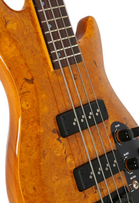 [����] LTD - H-1004SE Burl Maple �� �̹��� 10