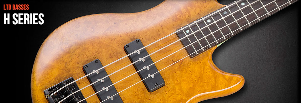 [����] LTD - H-1004SE Burl Maple �� �̹��� 2