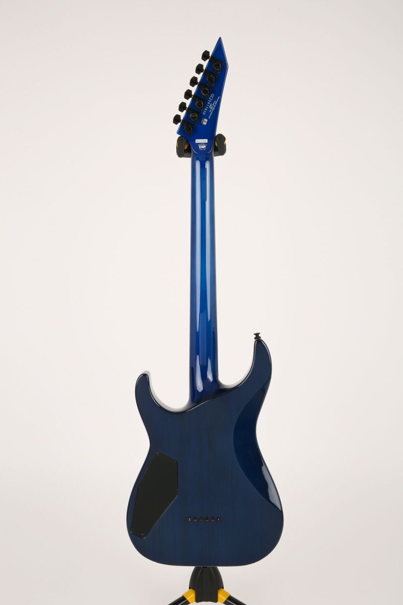 [����] [Ư��][ESP �ݶ󺸷��̼�] ESP BanG Dream Roselia M-II Sayo  6127 �� �̹��� 3