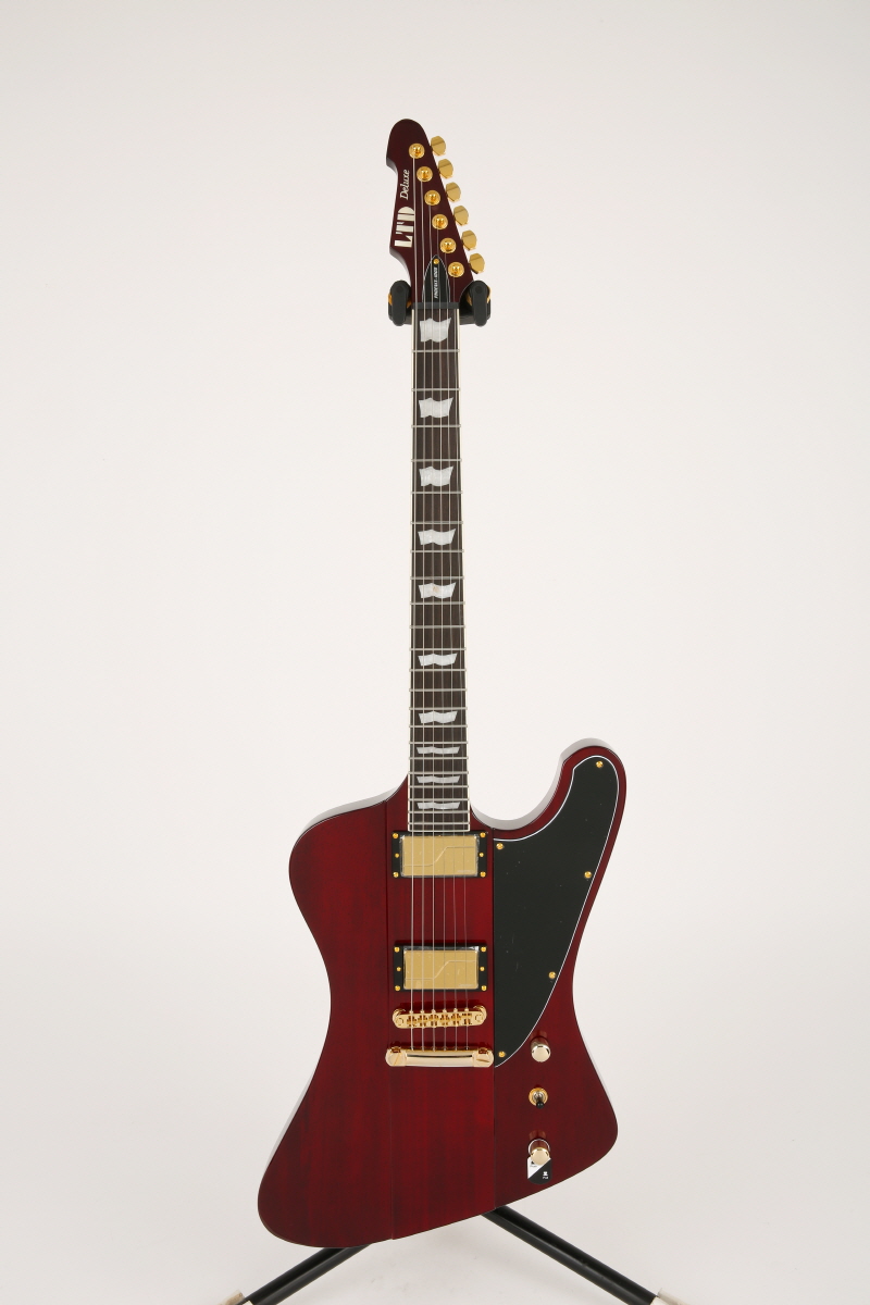 [����] [Ư��]LTD PHOENIX-1000 / See Thru Black Cherry 7393 �� �̹��� 2