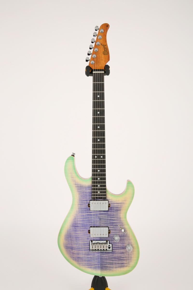 [����] [Ư��] Cort G290 LE / ��Ʈ ������ �Ϸ���Ÿ (Namm Limited Edition) 4008 �� �̹��� 6