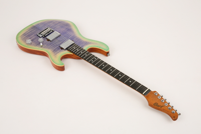[����] [Ư��] Cort G290 LE / ��Ʈ ������ �Ϸ���Ÿ (Namm Limited Edition) 4008 �� �̹��� 14