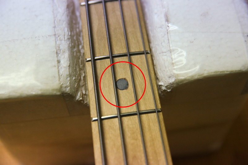 [����] [Ư��]Sterling - StingRay Bass RAY34QM / Island Burst  4990 �� �̹��� 6