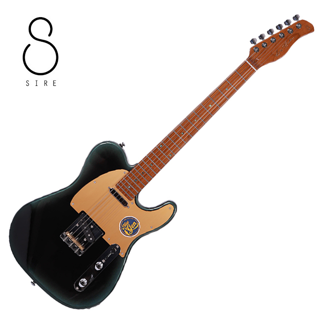 Sire [New Gen] 사이어 SIRE 래리칼튼 Larry Carlton S7 일렉기타 (D.FOREST) Dark Forest Color