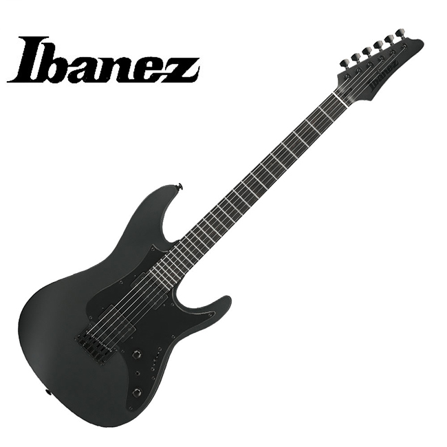 Ibanez 아이바네즈 Ibanez Iron Label RGRTBB21 일렉기타 (BKF) Black Flat Color