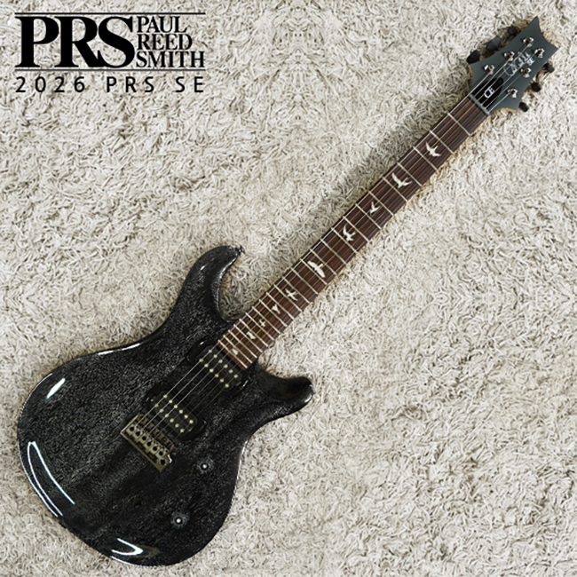 PRS [2026] PRS SE CE24 Special Run 일렉기타 (Black Doghair)