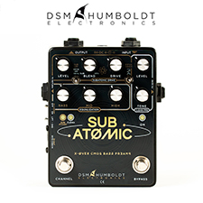 DSM 홈볼트 DSM & Humboldt Sub Atomic