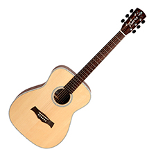 [������ ���� Ư��] Ʈ���� Trevii F-100 ���Ÿ (OPN)