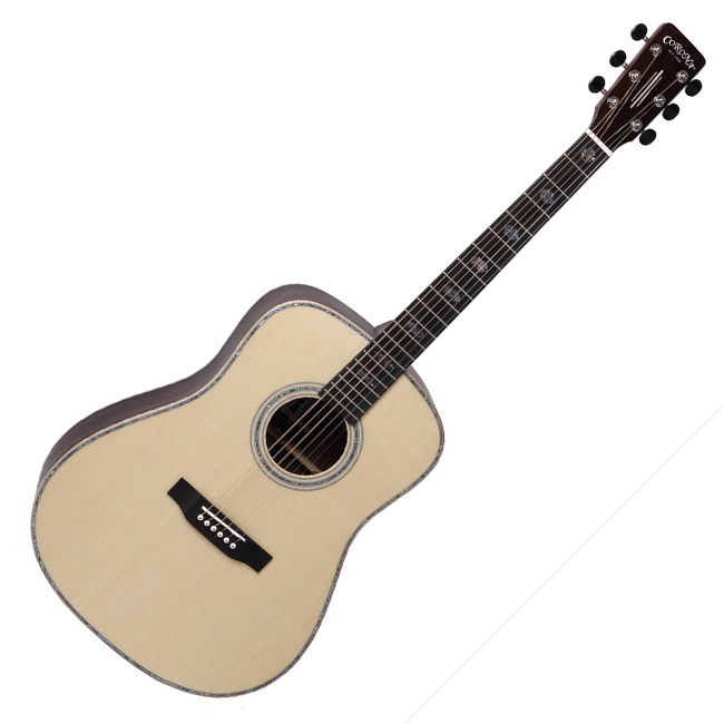 [������ ���� Ư��] �ڷγ� Corona IDEA DR-1300 ���Ÿ (OPN)