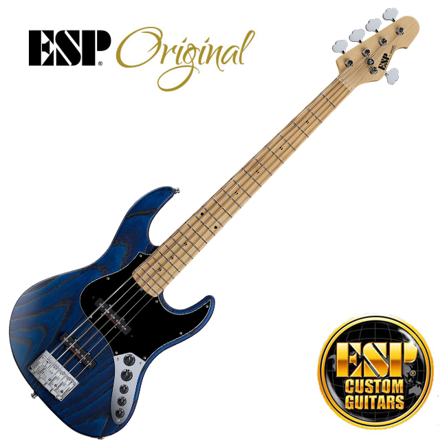 Custom [프리오더] ESP Original Custom Shop AMAZE-AS-5/M Driftwood (색상다양)