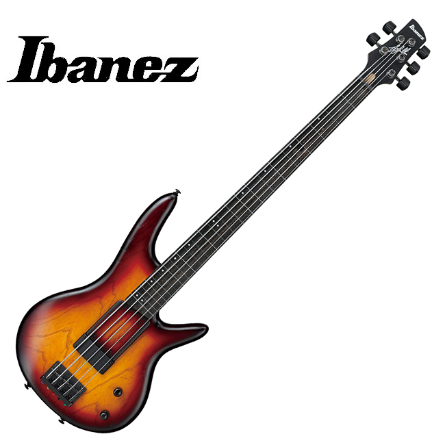 Ibanez 아이바네즈 Ibanez Gary Willis GWB205 베이스 5현 프렛리스 (TQF) 게리 윌리스 시그니처