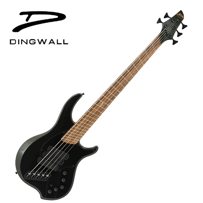 ���� Dingwall John Taylor JT3 5-String ���̽���Ÿ 5�� (Stealth Black)