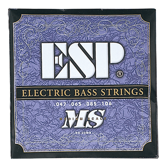 ESP ���̽� ��Ʈ�� 047-106 (BS-20MS)