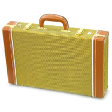 [����] Muztek SWC-P/M ������ ���̽�