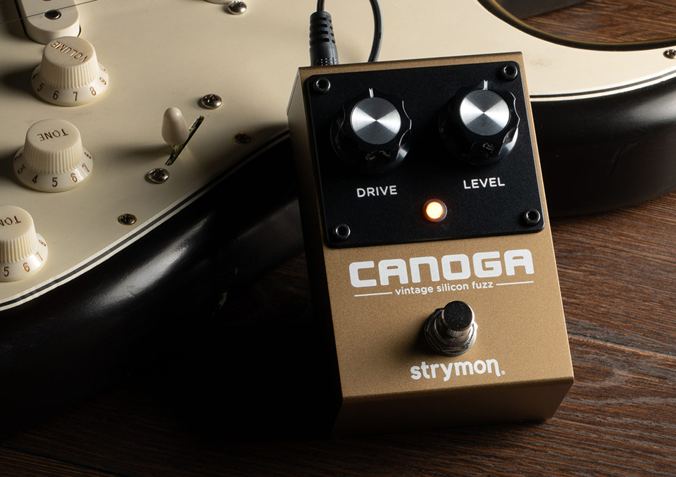 ��Ʈ���̸� Strymon Canoga ��Ƽ�� �Ǹ��� ���� �� �̹��� 4