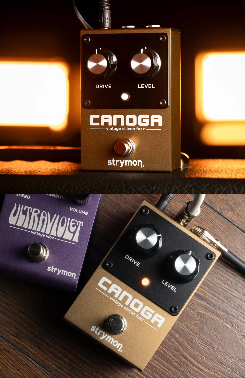 ��Ʈ���̸� Strymon Canoga ��Ƽ�� �Ǹ��� ���� �� �̹��� 6