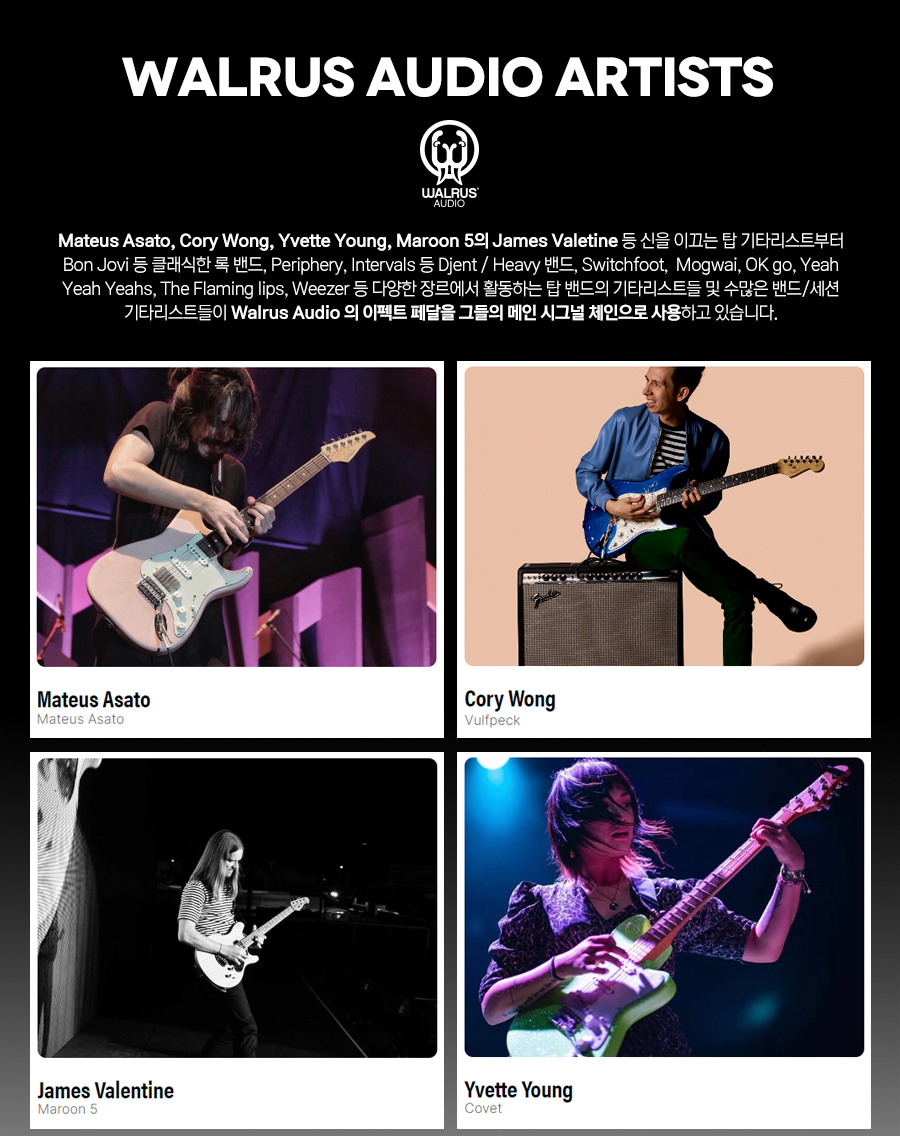 ������ ����� Walrus Audio Highpoint �Ƴ��α� ��Ƽ�� �������� �� �̹��� 13