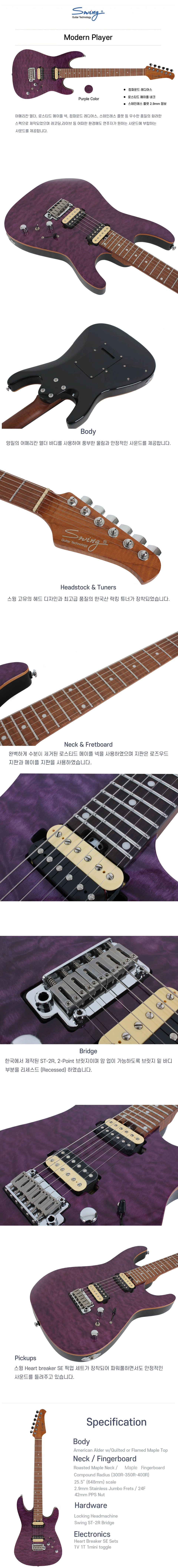 ���� Swing Modern Player ���� �Ϸ���Ÿ (PP/M) �� �̹��� 2