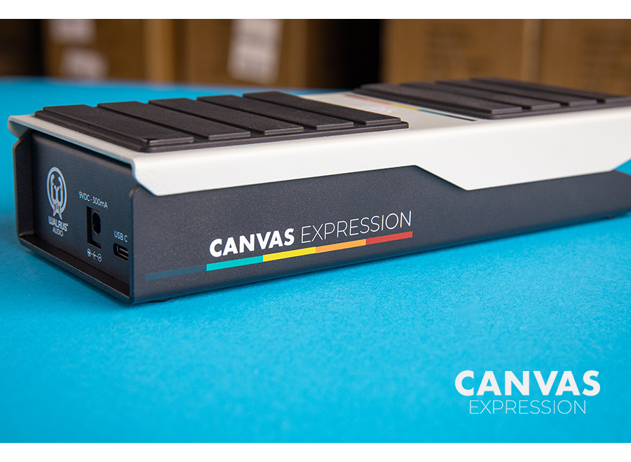 ������ ����� Walrus Audio Canvas Expression ĵ���� �ͽ������� ��� �� �̹��� 4