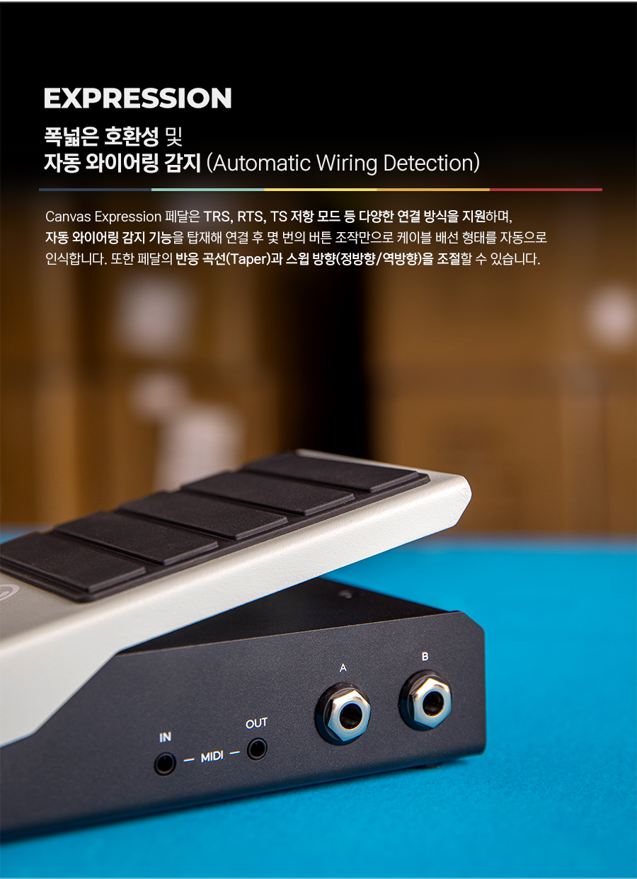 ������ ����� Walrus Audio Canvas Expression ĵ���� �ͽ������� ��� �� �̹��� 6