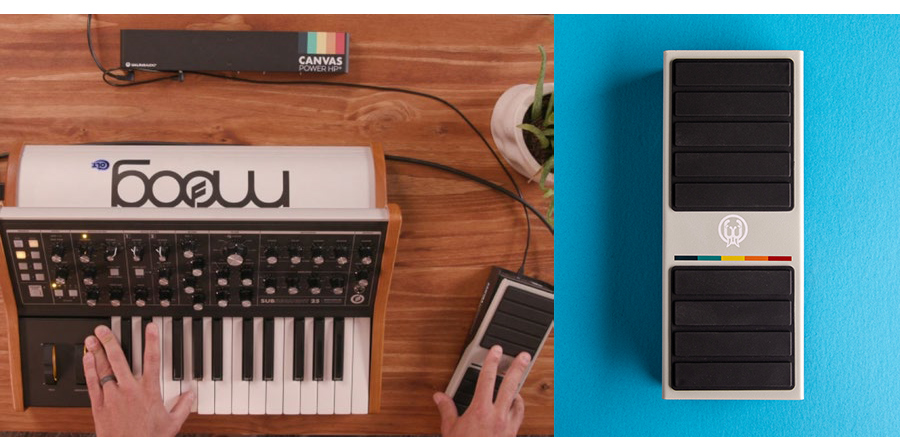 ������ ����� Walrus Audio Canvas Expression ĵ���� �ͽ������� ��� �� �̹��� 9