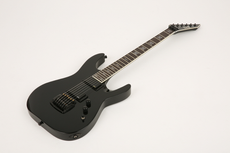 [����] [Ư��]LTD Jeff Hanneman JH600  9791 �� �̹��� 2