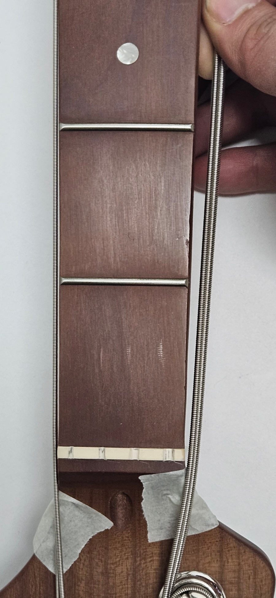 [Ư��] �ڷγ� Corona Standard Plus Jazz ���̽���Ÿ BK (8405) �� �̹��� 12