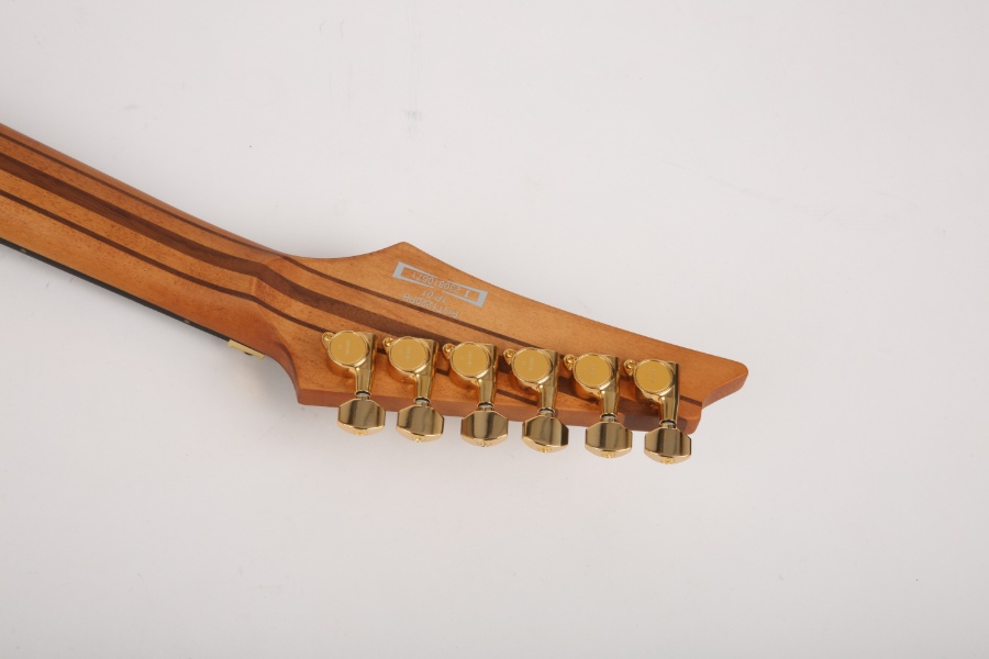 [Ư��] ���̹ٳ��� Ibanez Premium RGT1220PB �Ϸ���Ÿ ABS (8135) �� �̹��� 5