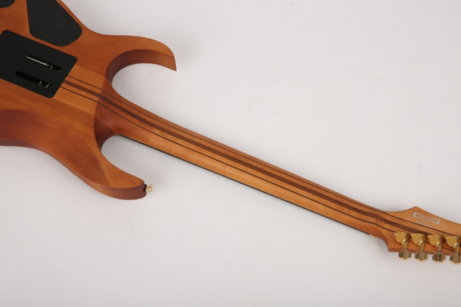 [Ư��] ���̹ٳ��� Ibanez Premium RGT1220PB �Ϸ���Ÿ ABS (8135) �� �̹��� 6