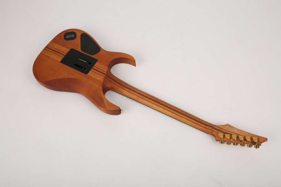 [Ư��] ���̹ٳ��� Ibanez Premium RGT1220PB �Ϸ���Ÿ ABS (8135) �� �̹��� 2