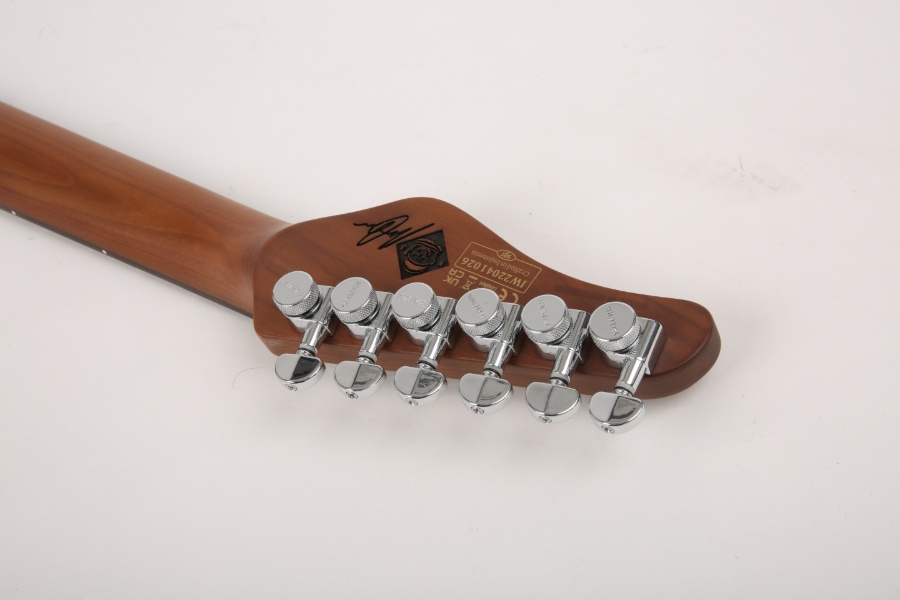 [Ư��] ���� Schecter Nick Johnston Traditional HSS �Ϸ���Ÿ (9819) �� �̹��� 5